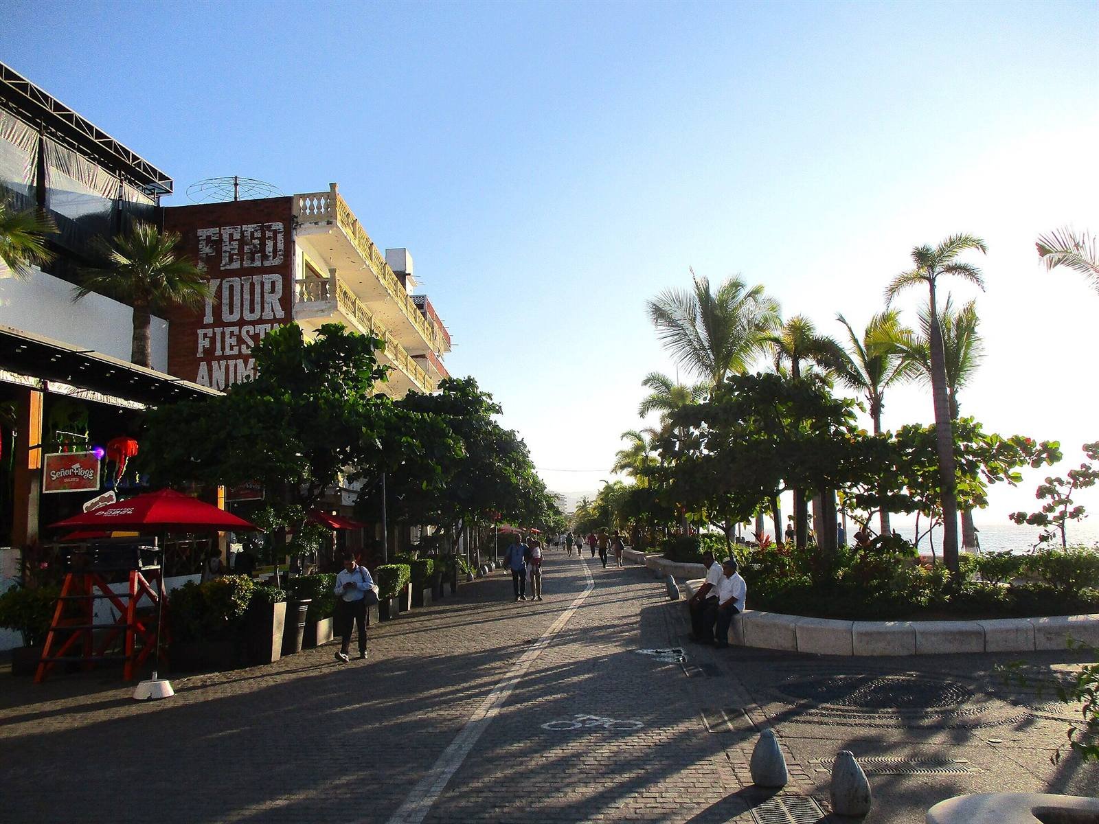 Puerto Vallarta · 37.1 km